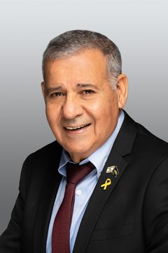 شالوم دانينو