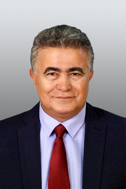 عمير بيريتس